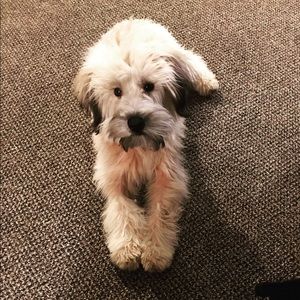 Meet your Posher, Nancy